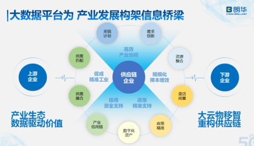 朗华供应链王玮 数字化供应链管理赋能企业发展
